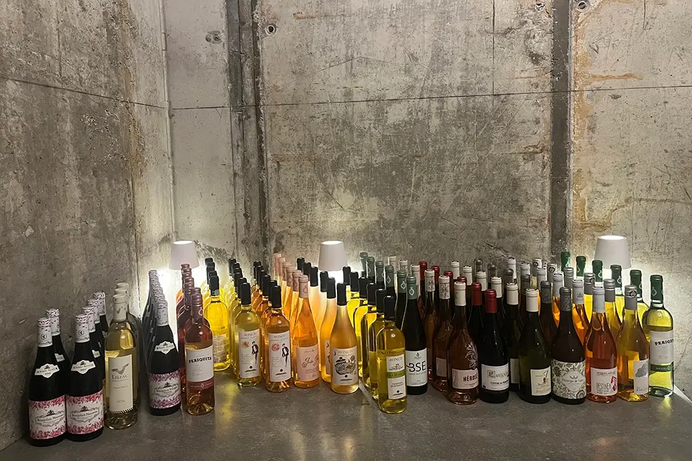 Despre Pivot Noir Despre Pivot Noir